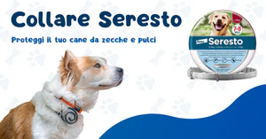 Salute e Benessere Animale